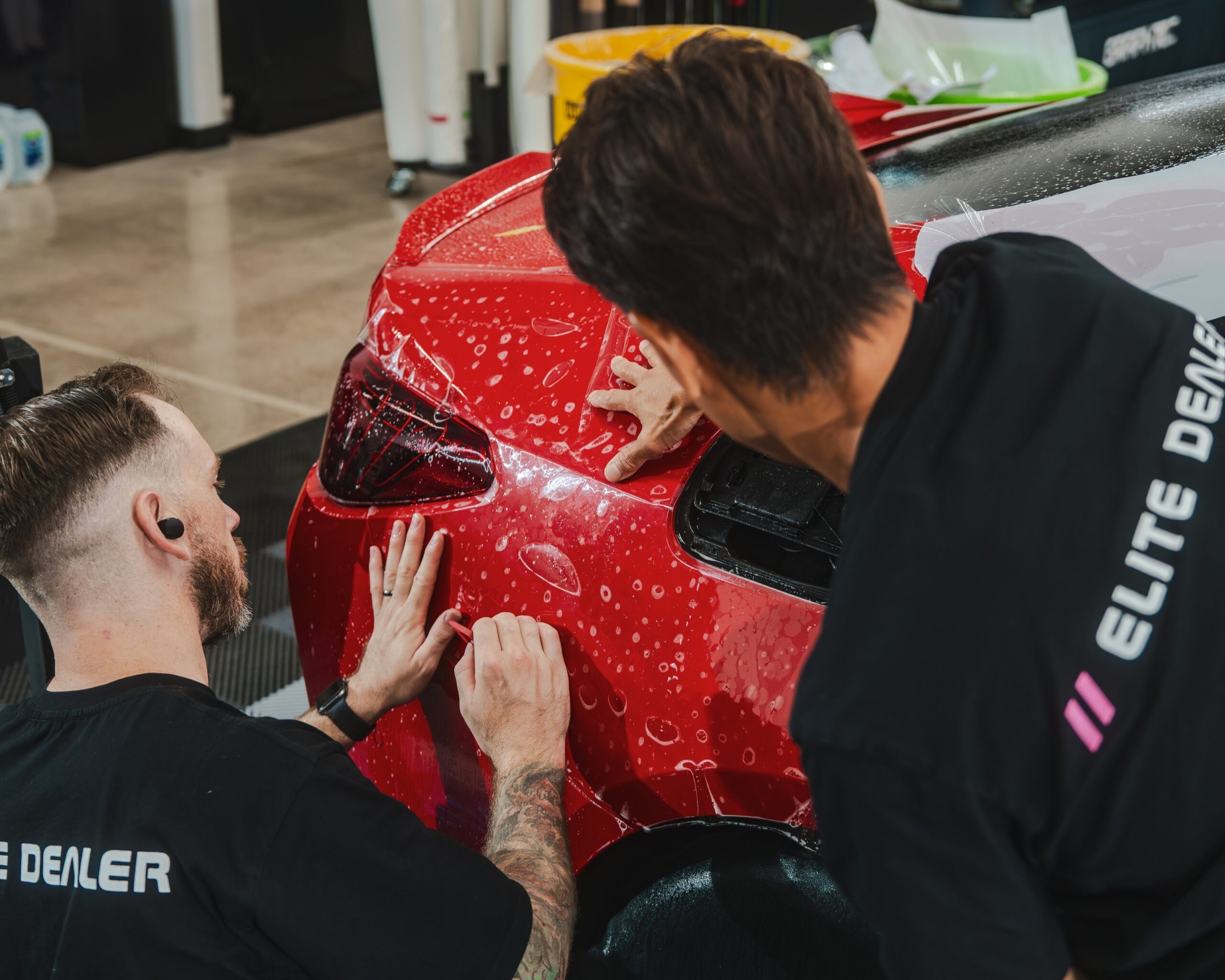 Terms and Conditions